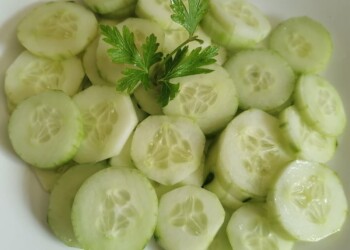 Concombre épluché rondelle 4ème Gamme