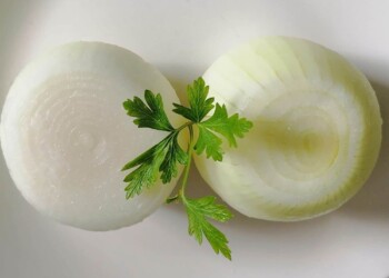 Oignon entier épluché 4ème Gamme